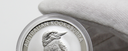 Coin Collecting: Silver, Gold, and Beyond